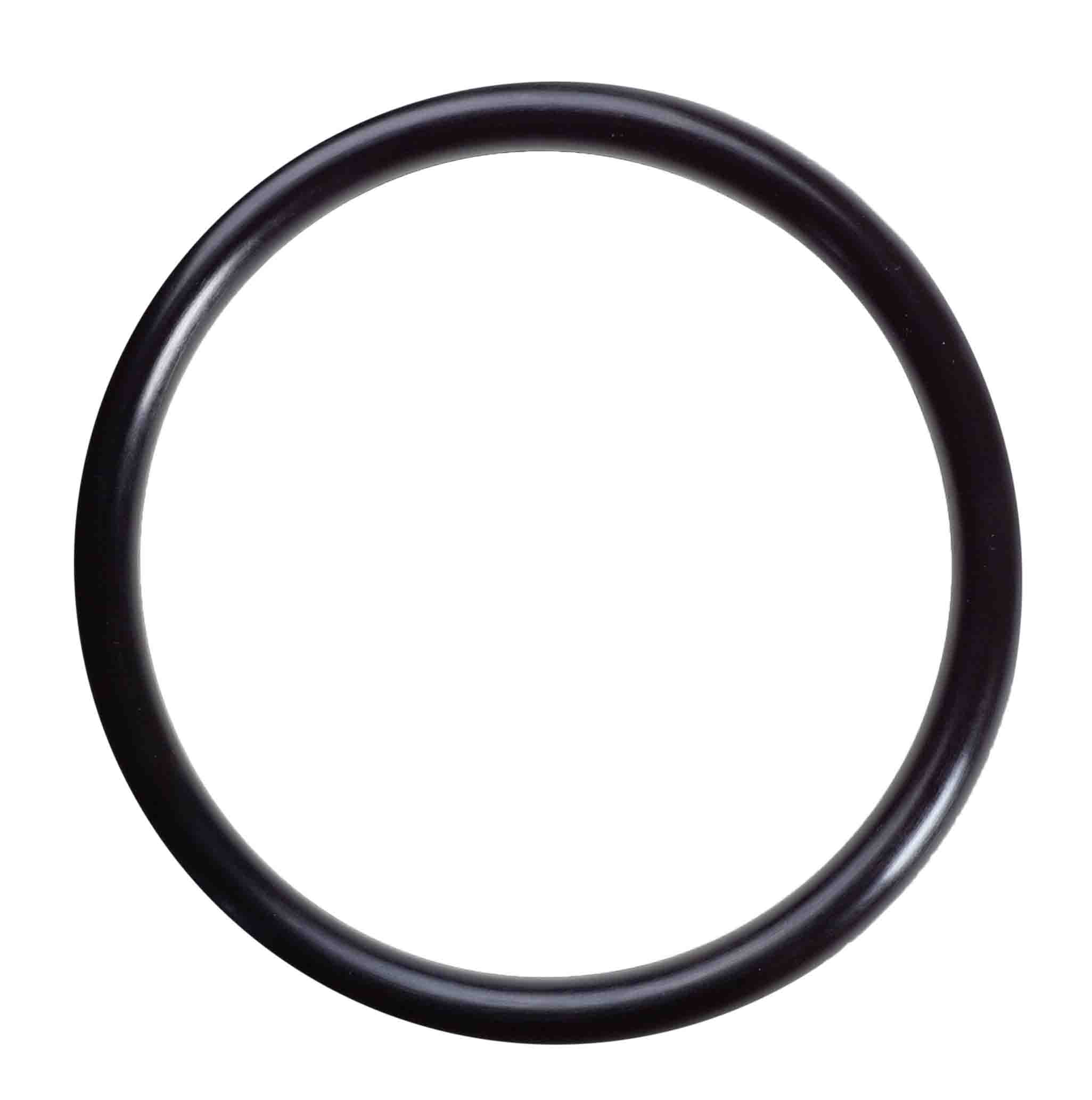 AM151120 - Pentek Ametek Standard O-Ring AM151120 - Pentek Ametek Standard O-Ring